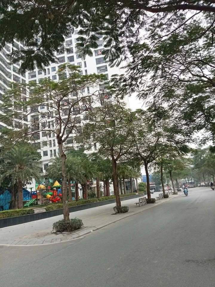 Đất phân lô Tứ Hiệp 149m² giá thỏa thuận - Chính chủ cần bán gấp!