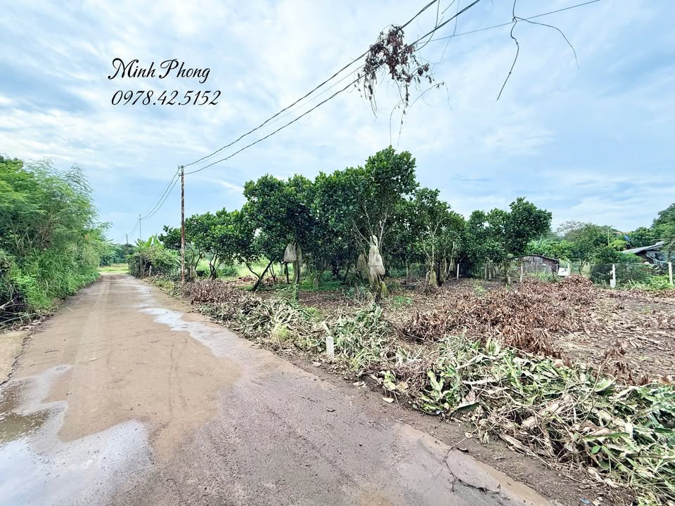 Đất nền Bảo Vinh 100m² giá 860 triệu - Sổ đỏ chính chủ, thương lượng nhẹ!