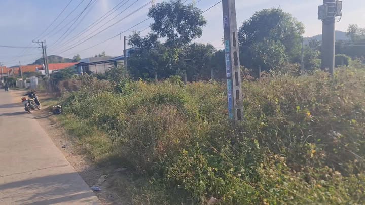 Đất nền thổ cư 815m² tại Thôn Văn Định, Ninh Đông - Cơ hội đầu tư tuyệt vời!