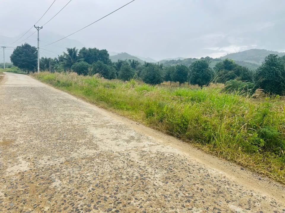 Đất nền mặt tiền Đường Dù Lượn, Bắc Nha Trang 1535m² giá 3.377 tỷ - Cơ hội đầu tư không thể bỏ qua!