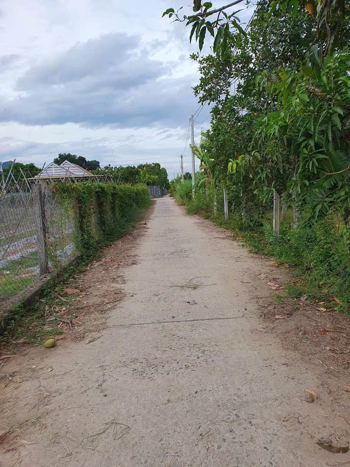 Đất vườn Cam Phước Đông Cam Ranh 869m² giá 1.5 tỷ - Đầu tư sinh lời tuyệt vời!