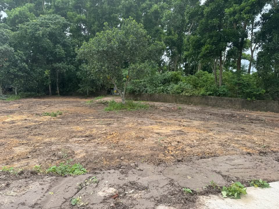 Đất nền Khu 5 Hải Yên 102m² giá chỉ 1x tỷ - Tiềm năng đầu tư cao