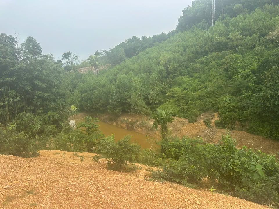 Đất thổ cư 3000m² Thôn Bành, Xã Võ Miếu, Huyện Thanh Sơn - Mặt hồ tuyệt đẹp!