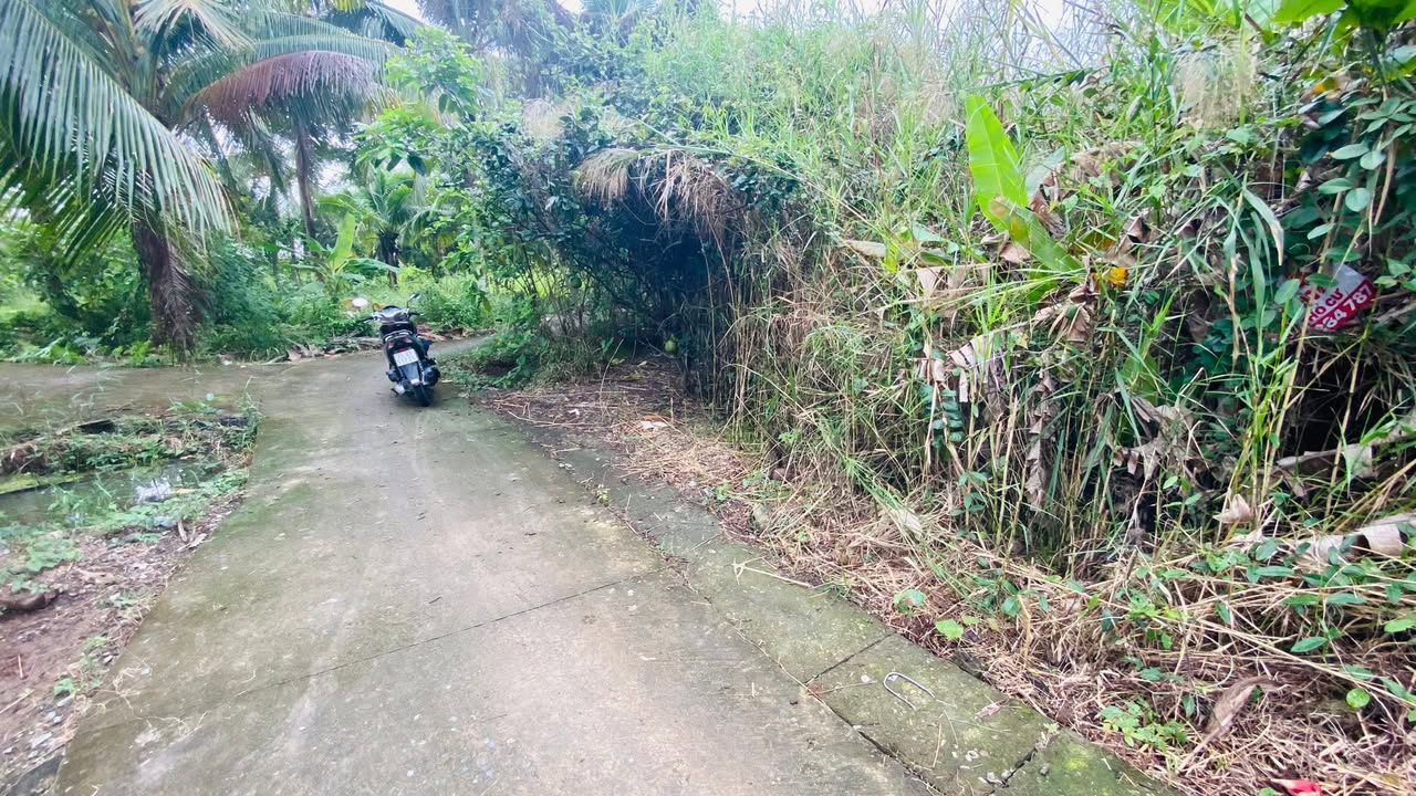 Đất nền An Phước Châu Thành 103m² giá 395 triệu - Không quy hoạch!