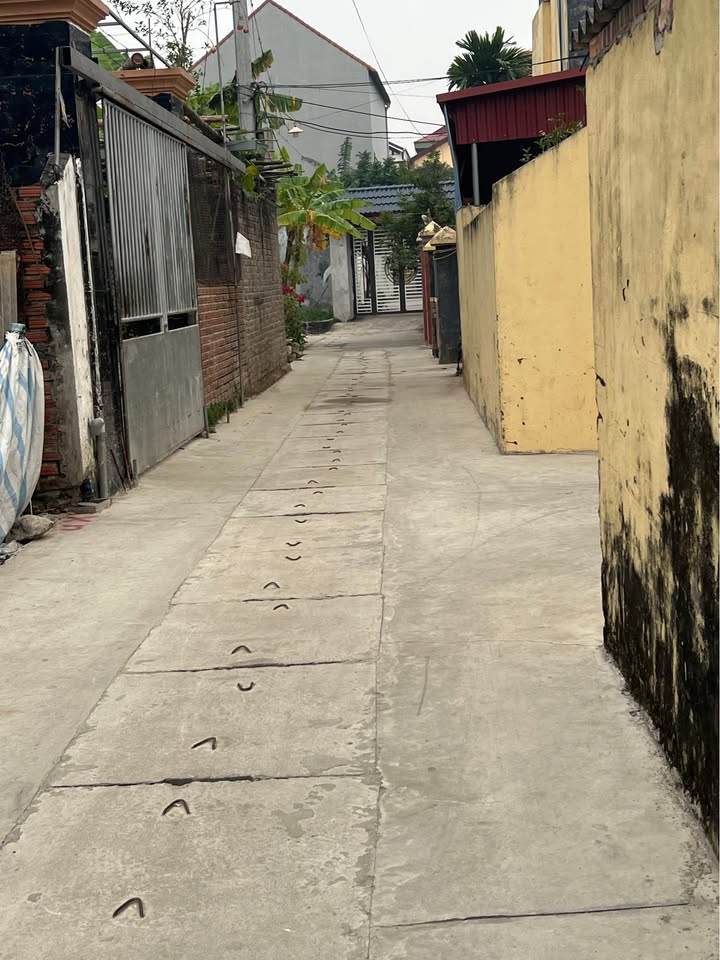 Đất nền Tổ 9 Quang Minh 36m² giá 2.2 tỷ - Đầu tư sinh lời ngay!