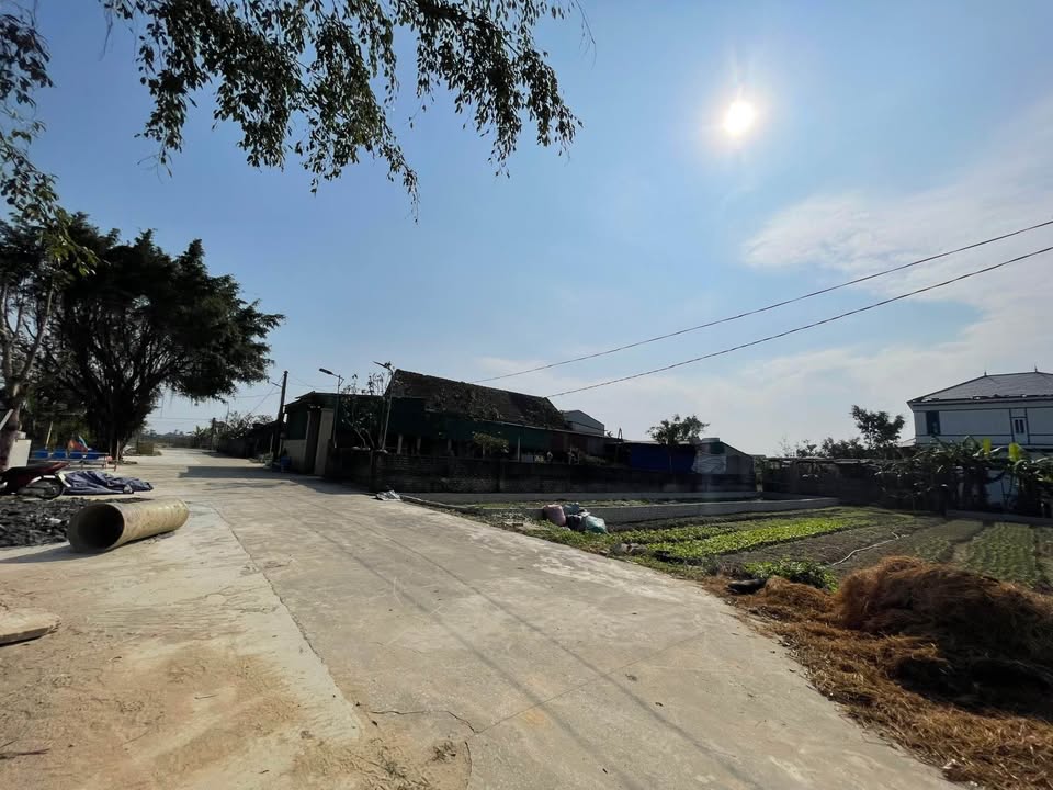 Đất Nghi Kim 174m² giá 2.4 tỷ - Cơ hội đầu tư lý tưởng!