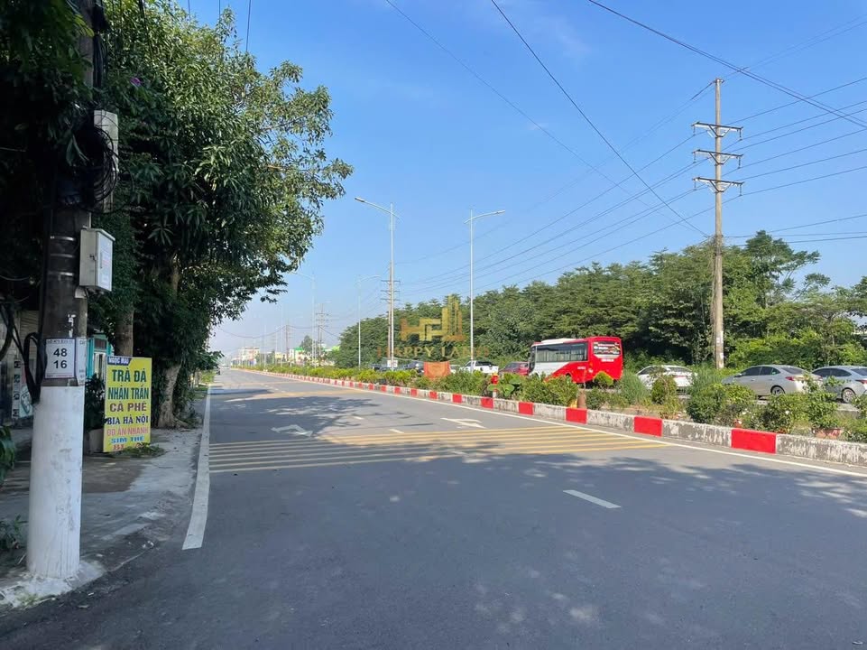 Đất kinh doanh mặt đường Bích Đào, 100m² giá 5 tỷ - Cơ hội đầu tư tốt!