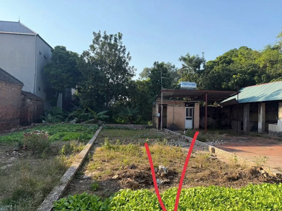 Đất nền Bảo Đức, Bình Xuyên 76m² giá 1 tỷ - Cơ hội đầu tư hiếm có!