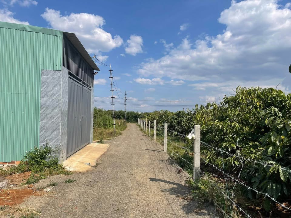 Đất nền Hòa Phú, huyện Chư Păh, 140m² - Giá cực tốt, đầu tư sinh lời!