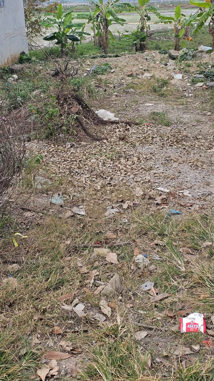 Đất nền Phường Đông Sơn 150m² giá 3.3 tỷ - Đầu tư sinh lời ngay!