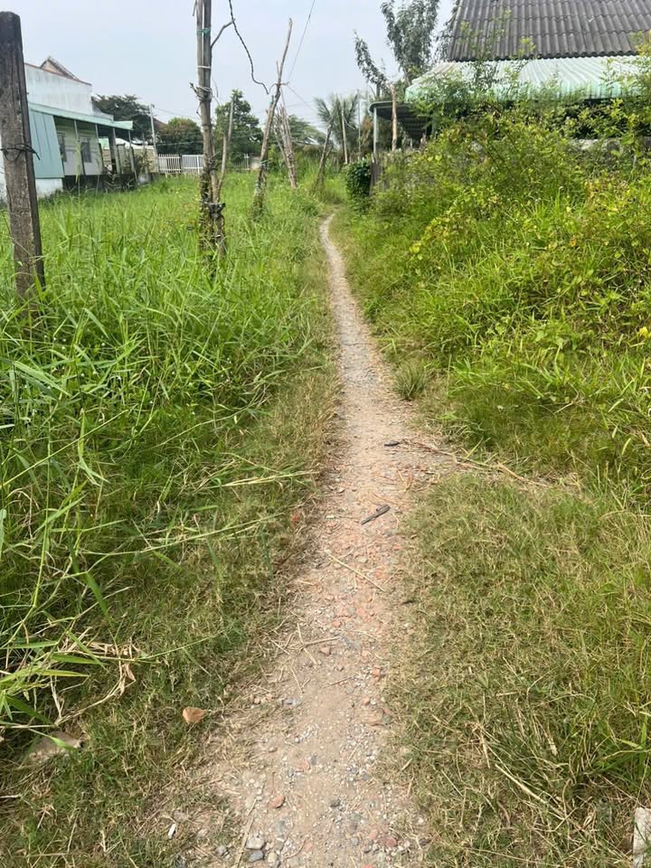 Đất nền Phường 5, Tân An, Long An 140m² giá chỉ 700 triệu - Cơ hội đầu tư tuyệt vời!