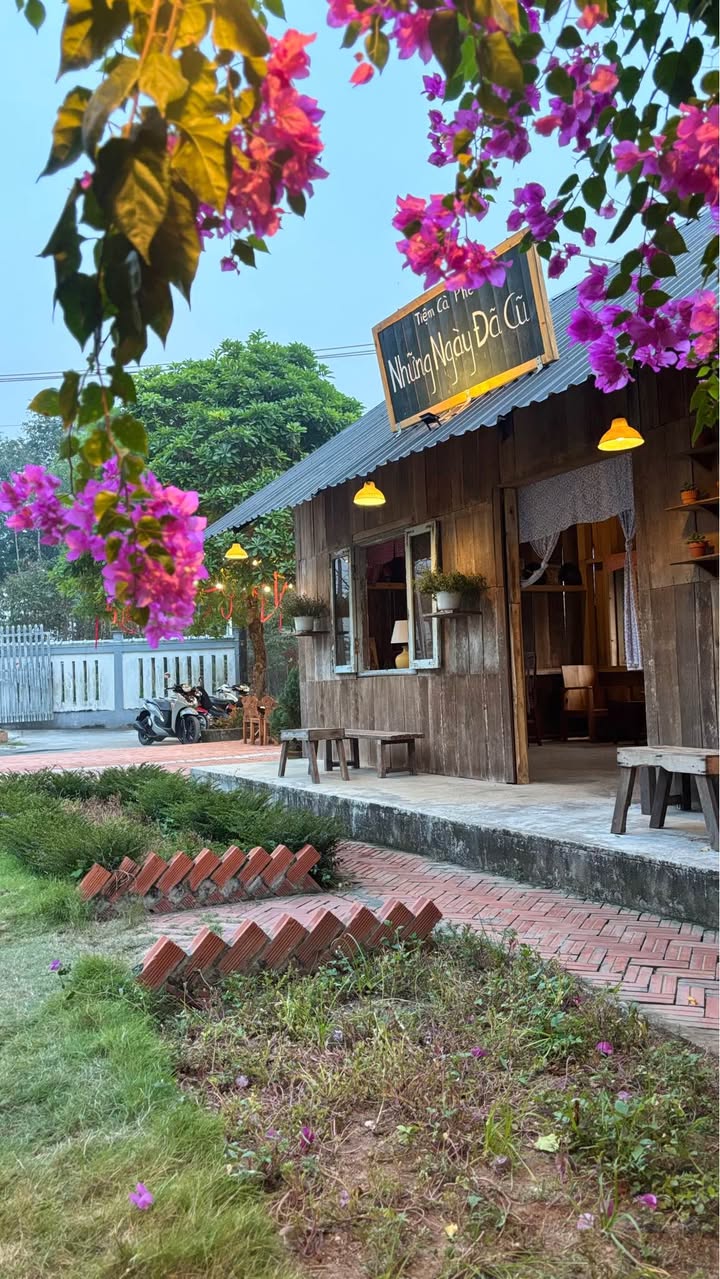 Đất nền Tỉnh Lộ 2, Bến Lức 200m² giá 450 triệu - Đầu tư sinh lời ngay!