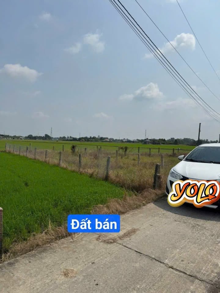 Đất thổ cư 119m² tại Ấp 3, Xã Lạc Tấn, Huyện Tân Trụ chỉ 389 triệu - Cơ hội đầu tư hấp dẫn!