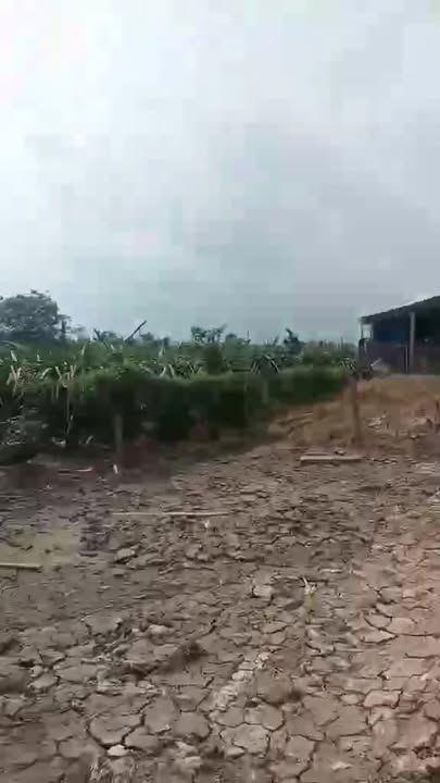 Nhà cấp 4 đường T2 nhựa 9m, xã Long Trì, 396m², giá 2.999 tỷ - Cơ hội đầu tư tuyệt vời!