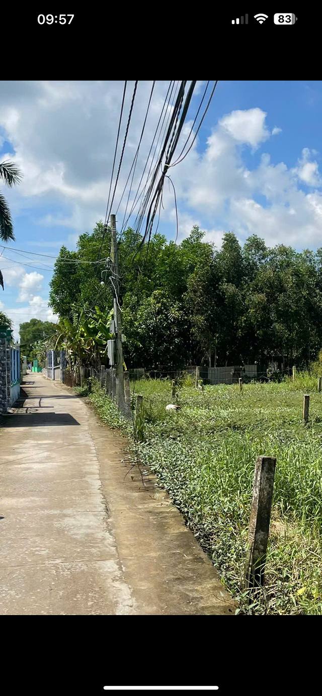 Đất thổ cư 166m² tại Nhựt Chánh, Bến Lức chỉ 900 triệu - Sổ hồng riêng!