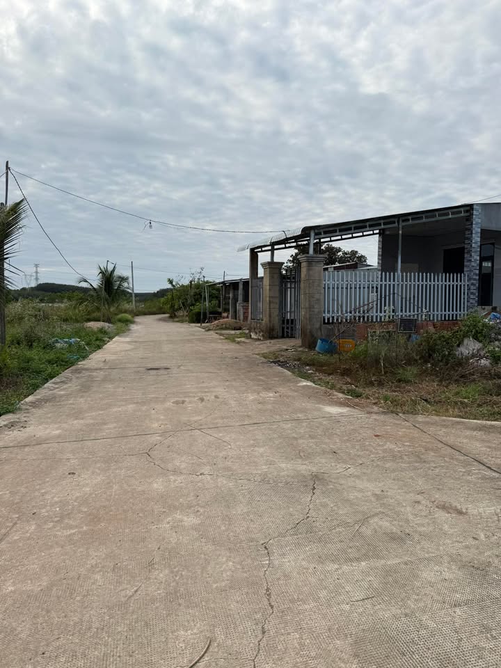 Đất nền mặt tiền đường Bê Tông Huyện Bù Đăng 12.000m² giá 2 tỷ - Tiềm năng phát triển lớn!