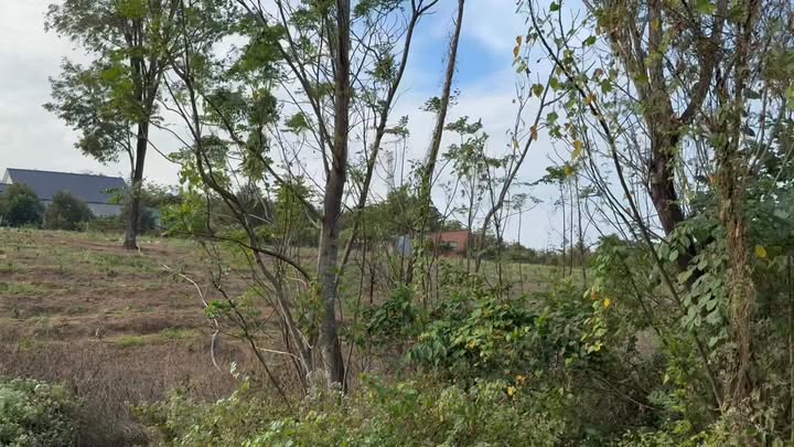 Nhà cấp 4 tại Minh Hưng, Bù Đăng 400m² giá 2.2 tỷ - Đầu tư sinh lời ngay!