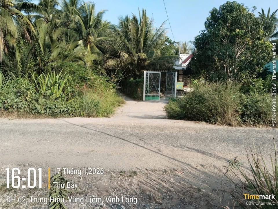 Đất Farm 4300m² xã Trung Thành, Vĩnh Long giá chỉ 8.6 tỷ - Lợi nhuận ngay lập tức!