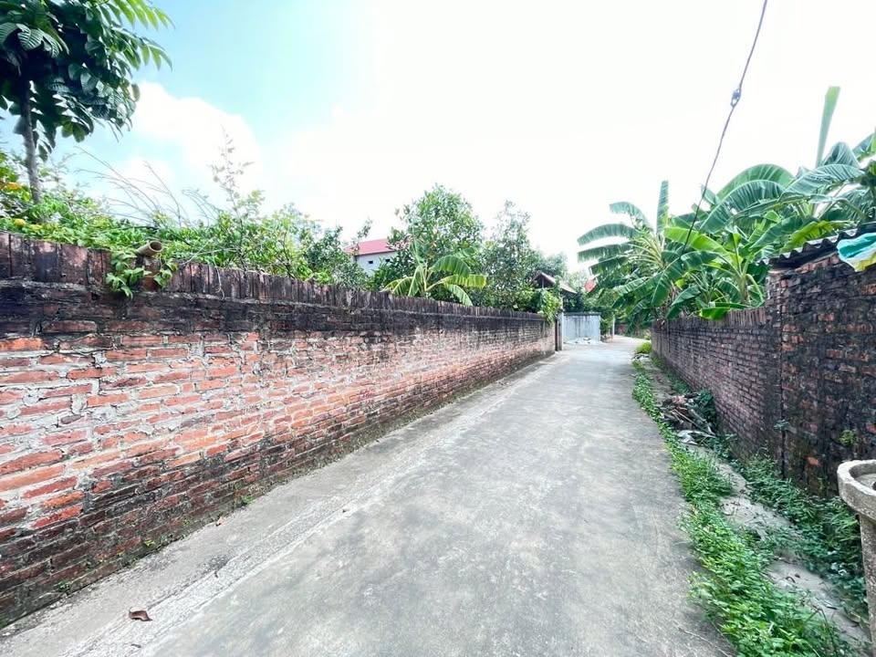 Đất nền Đan Tảo, Tân Minh 81m² giá chỉ 1.1 tỷ - Sổ hồng chính chủ!