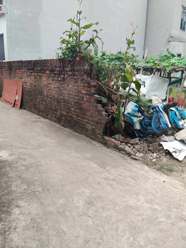 Đất Quang Minh, Mê Linh 65.5m² giá 2.6 tỷ - Đầu tư lý tưởng ngay KCN!