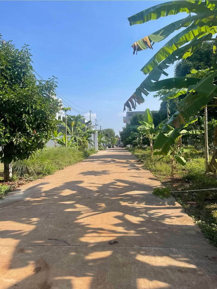 Đất nền 100m² tại phường Bảo Vinh, TP Long Khánh giá 1.6 tỷ - Sổ riêng thổ cư!