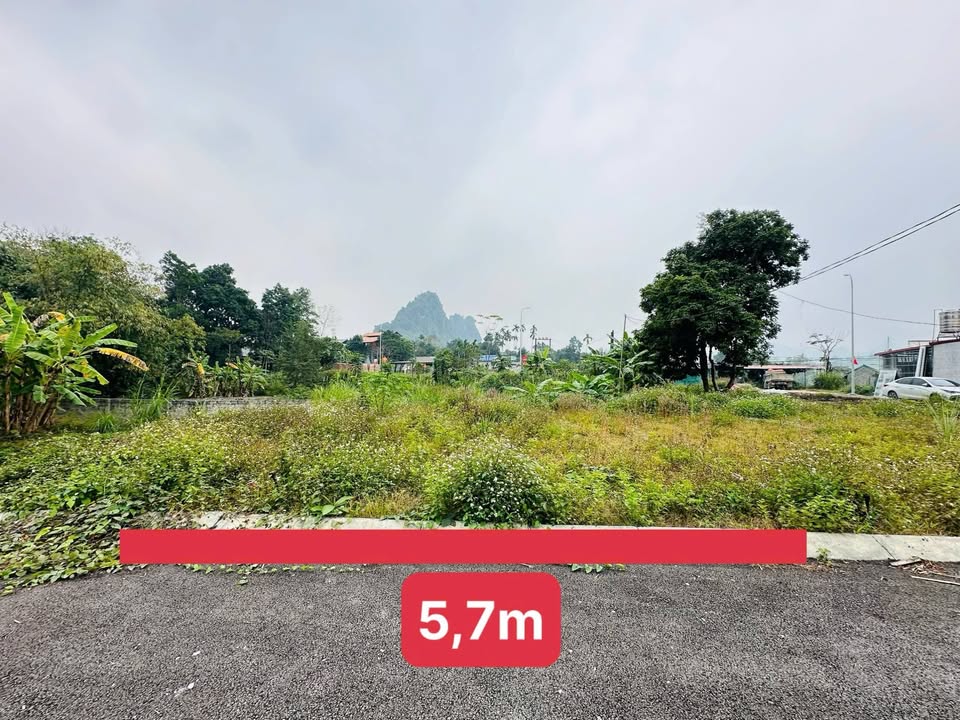 Đất thổ cư đường nhựa lớn Tiên Phương 81m² giá thỏa thuận - Đầu tư sinh lời ngay!