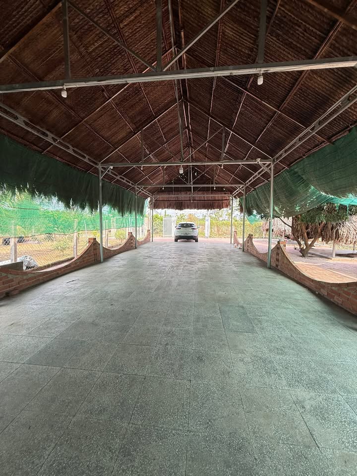 Đất nền 15x45m tại Tân Hưng, Tây Ninh - Giá chỉ 920 triệu - Đầu tư sinh lời!