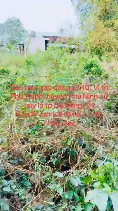 Đất nền Phú Thịnh, Huyện Phú Ninh 107m² giá 510 triệu - Đầu tư sinh lời ngay!