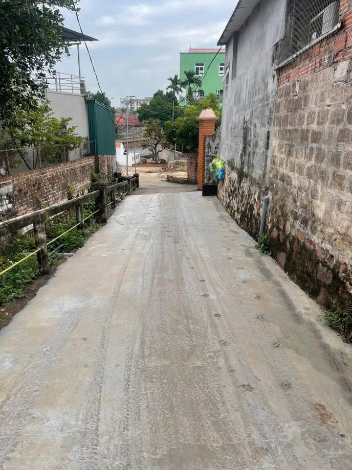 Đất nền Thuỷ Sơn - Thuỷ Nguyên 53m² giá 700 triệu - Pháp lý rõ ràng, gần nhiều tiện ích!