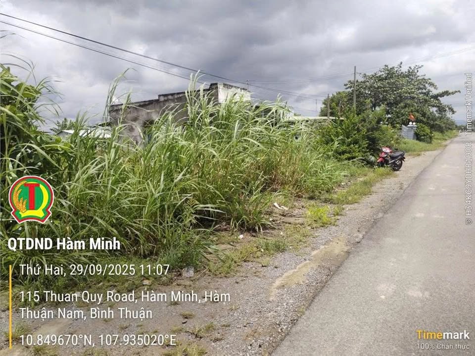 Đất mặt tiền đường nhựa Hàm Minh 658m² giá 2.1 tỷ - Cơ hội đầu tư hấp dẫn!