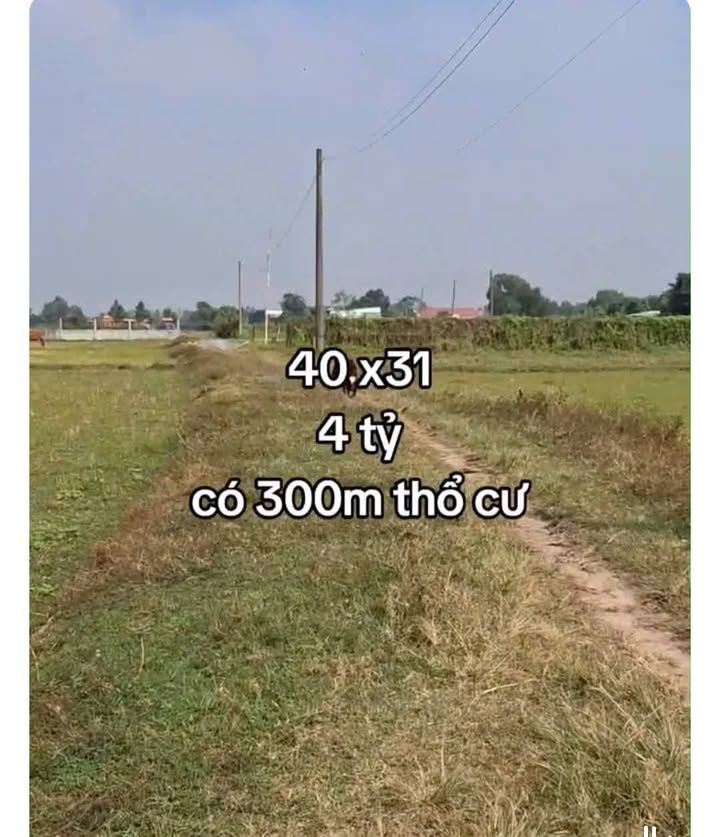 Đất thổ cư tại Mỹ Hạnh Bắc 1240m² giá 4 tỷ - Đầu tư sinh lời ngay!