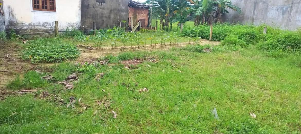 Đất nền Nghĩa Hòa, Tư Nghĩa 186,3m² giá thỏa thuận - Đường ô tô thông thoáng!