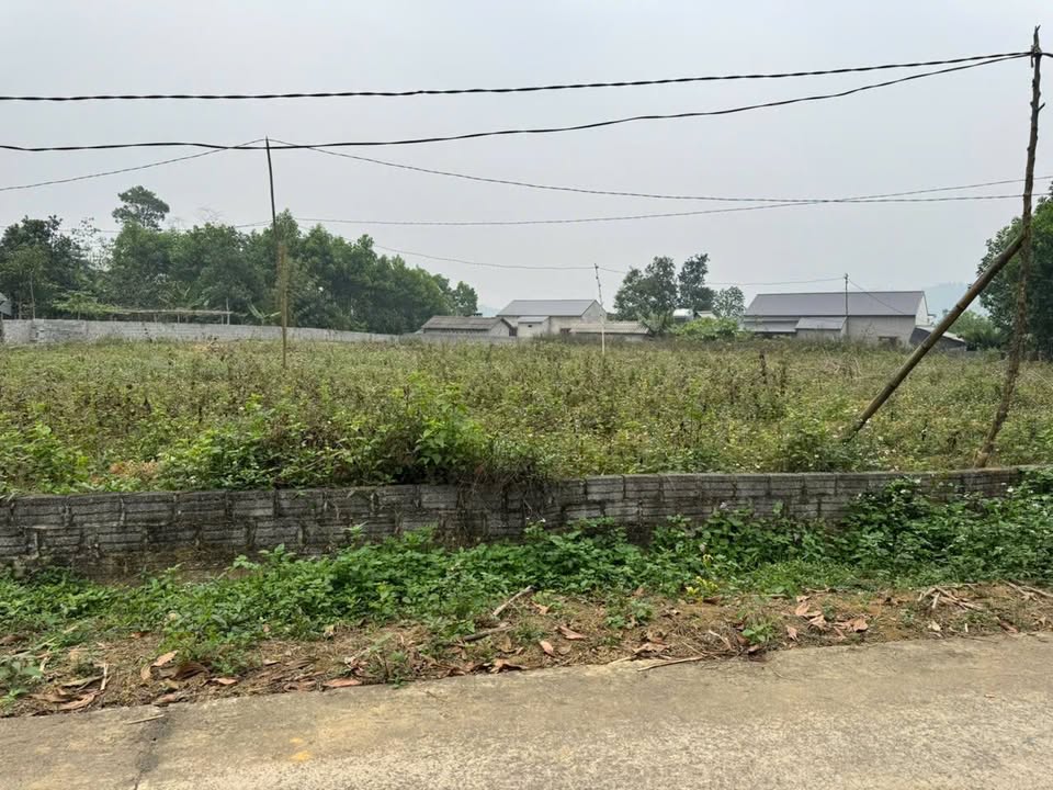 Đất thổ cư Xã Xuân Viên 239m² giá 200 triệu - Cơ hội đầu tư tuyệt vời!