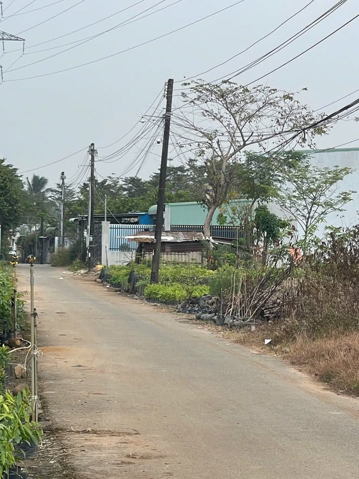 Đất nền Trảng Bom 340m² giá chỉ 550 triệu - Đầu tư sinh lời ngay!