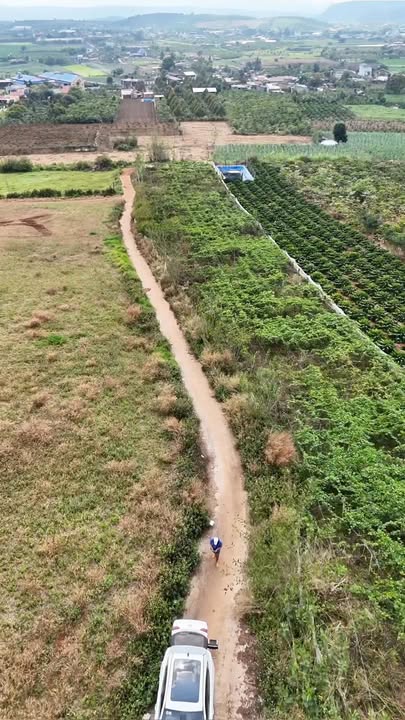 Đất nền 18.385m² tại Tân Hội, Đức Trọng, Lâm Đồng - Giá chỉ 750 triệu!