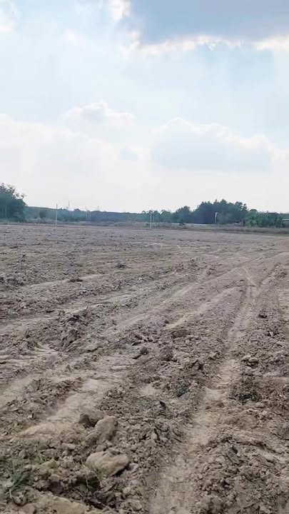 Đất Farm 3.000m² tại Phường Minh Thành, Bình Phước - Thiết kế nhà vườn lý tưởng!