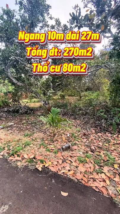 Đất nền mặt tiền 10m tại xã Long An, huyện Long Thành - Sổ đỏ chính chủ, giá chỉ 2.25 tỷ!