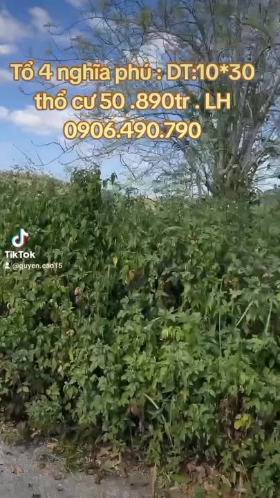 Đất nền trung tâm Gia Nghĩa 300m² giá 890 triệu - Cơ hội đầu tư hấp dẫn!