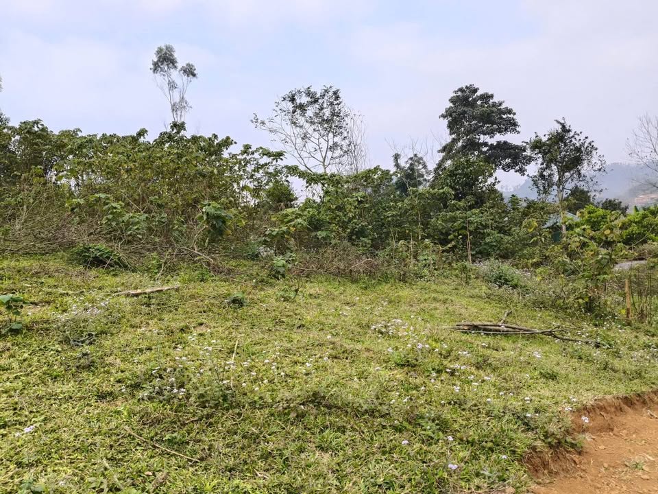 Lô đất nghỉ dưỡng Ba Vì 5900m² giá chỉ 3 tỷ - Cơ hội đầu tư hấp dẫn!