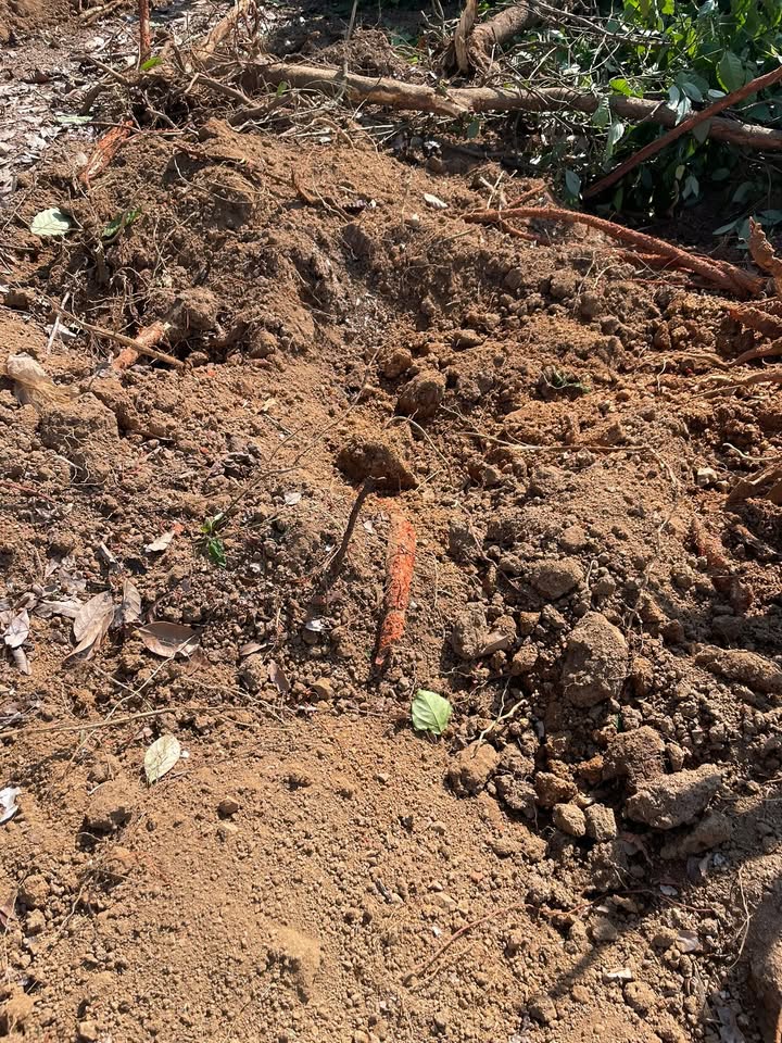 Đất thổ cư 1800m² tại Khối 9, Thị trấn Ea Kar giá 333 triệu - Đầu tư sinh lời tiềm năng!