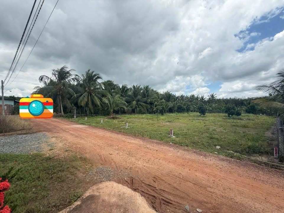 Đất nền ấp Bình Linh, Ninh Thạnh, Tây Ninh 200m² giá 279 triệu - Sổ hồng chính chủ!