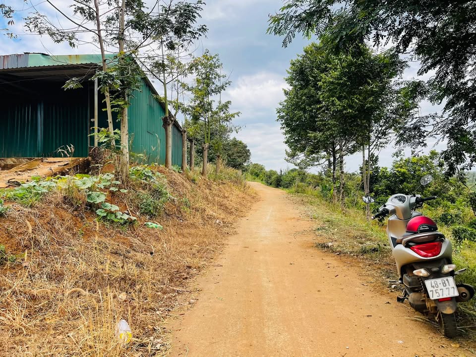 Đất thổ cư 360m² tại Thị trấn Kiến Đức giá chỉ 1 tỷ - Tiện ích đầy đủ ngay gần!