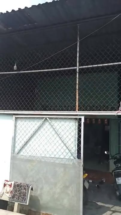 Nhà cấp 4 Tân Thông Hội, Củ Chi 75m² giá 1.5 tỷ - Đầu tư sinh lời!