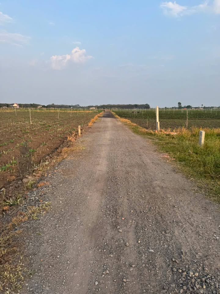 Đất thổ cư xã Tân Hưng, huyện Tân Châu, Tây Ninh 1200m² - Giá đầu tư hấp dẫn!