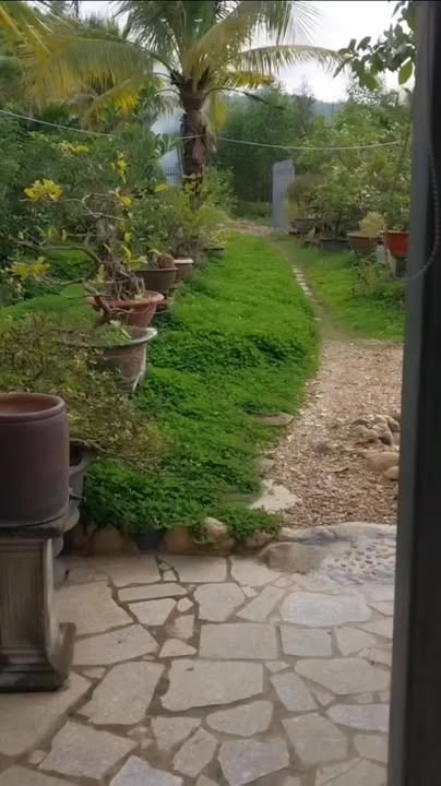 Farm đẹp tại Khánh Phú, Khánh Vĩnh, 2625m² giá 1.6 tỷ - Sẵn sàng vào ở ngay!