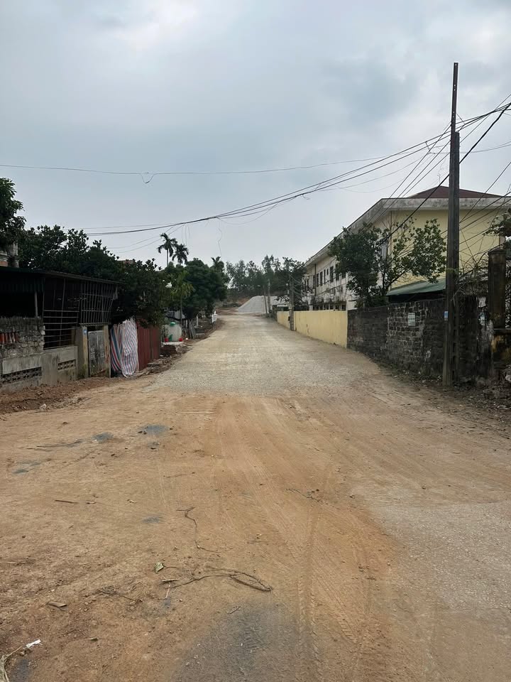 Đất thổ cư Phường Thanh Sơn 96m² giá 1 tỷ - Sổ đỏ chính chủ, vị trí đắc địa!