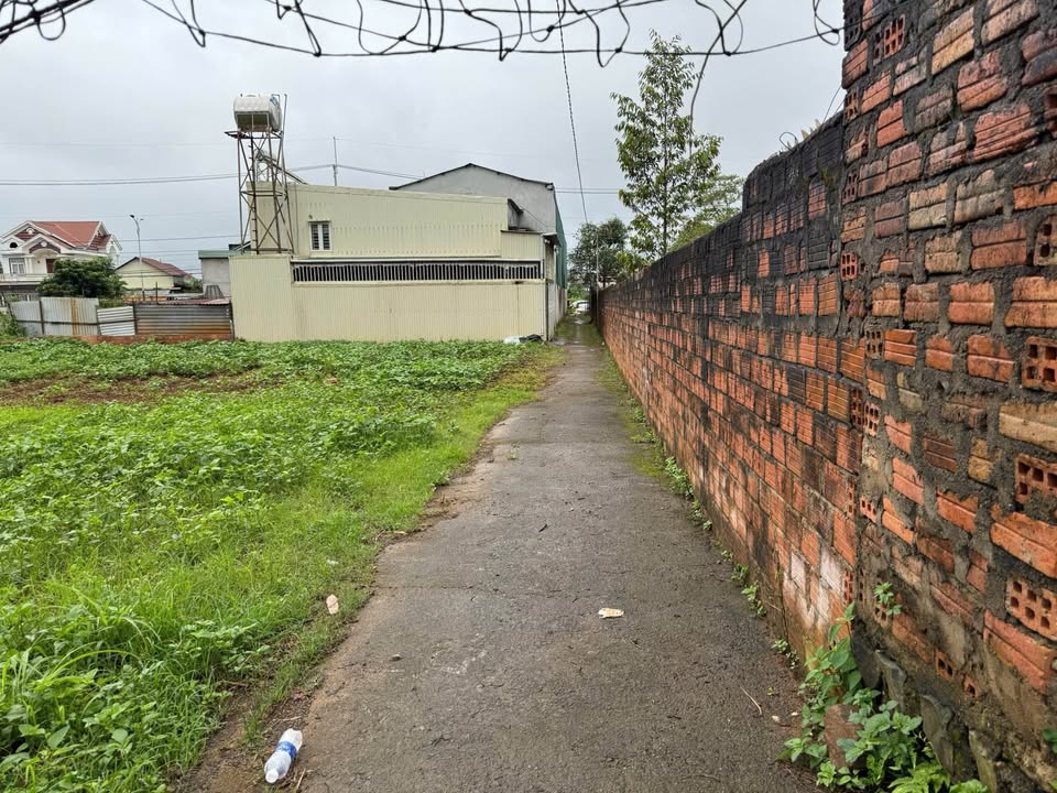 Đất thổ cư 198m² tại hẻm chính Lê Đại Hành, P. Thống Nhất - Giá chỉ 1 tỷ