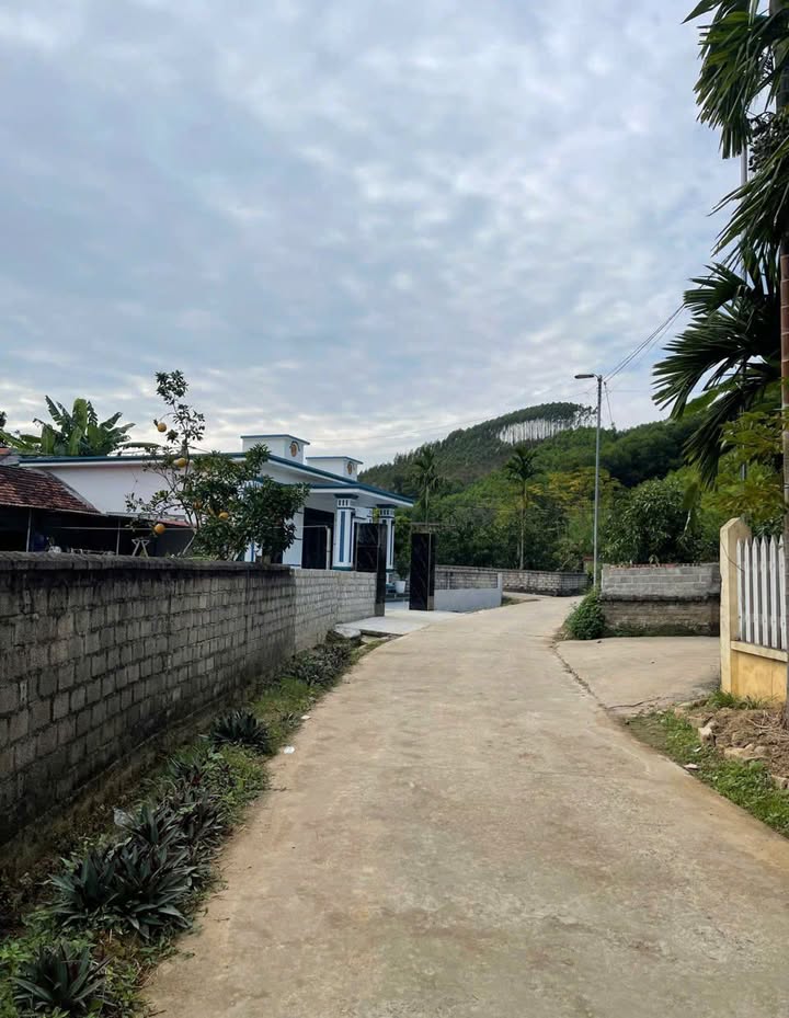 Đất nền Trường Sơn, Lục Nam, Bắc Giang 200m² chỉ 300 triệu - Cơ hội đầu tư hiếm có!