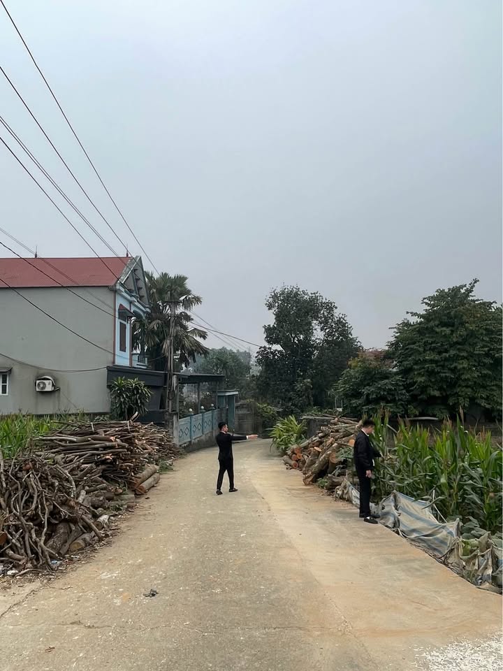 Đất nền khu Đồng Chự, huyện Tam Nông 100m² giá chỉ 900 triệu - Cơ hội đầu tư tuyệt vời!