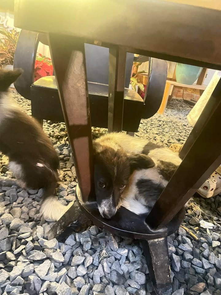 Đất nền KCN Becamex 500m² giá chỉ 4xx triệu - Cơ hội đầu tư hấp dẫn!